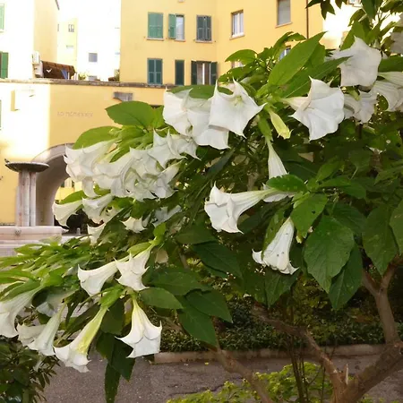 Frühstückspension La Fontana Nel Cortile